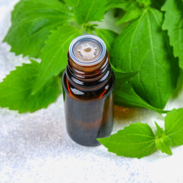 روغن گزنه
