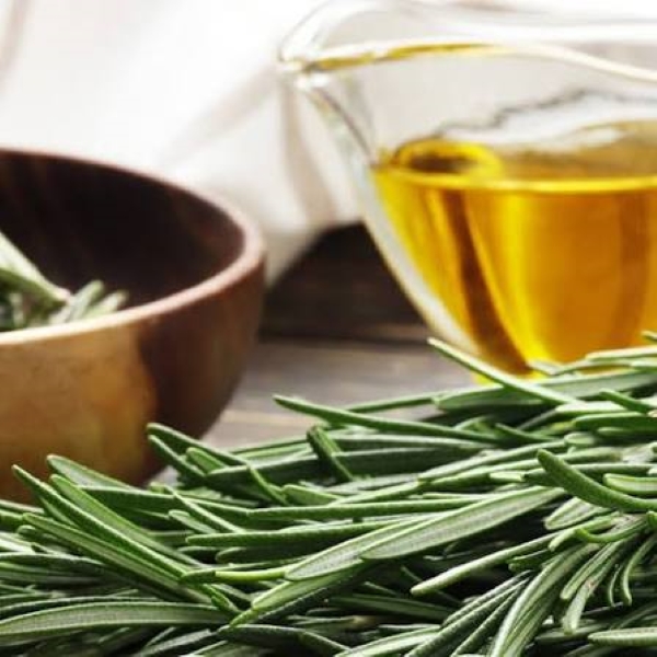 روغن رزماری